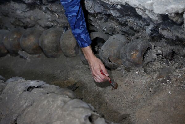 عالمة آثار تتعامل مع الجماجم المكتشفة - سبوتنيك عربي