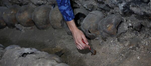 عالمة آثار تتعامل مع الجماجم المكتشفة - سبوتنيك عربي