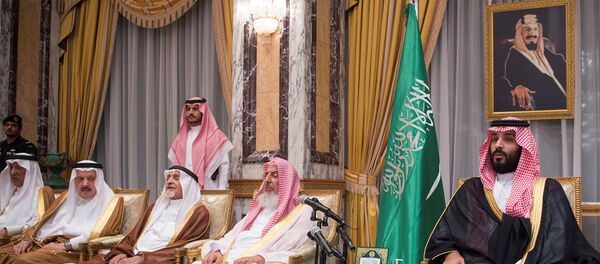 محمد بن سلمان - سبوتنيك عربي