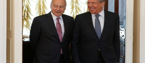 أحمد أبو الغيط - سبوتنيك عربي