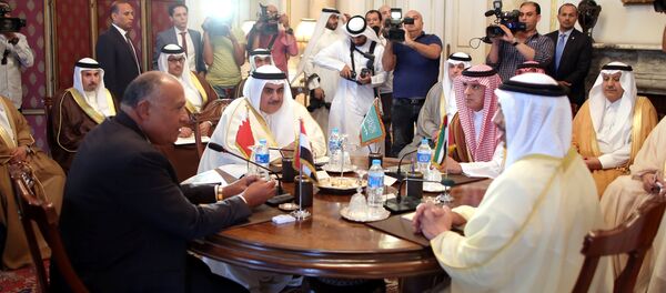 اجتماع وزراء الدول الأربع في القاهرة - سبوتنيك عربي