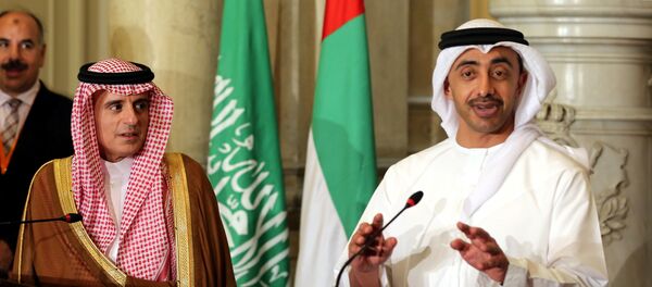 عبد الله بن زايد - سبوتنيك عربي