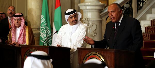 سامح شكري - سبوتنيك عربي