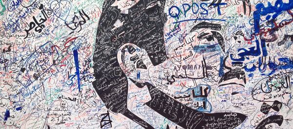 رسم غرافيتي لأمير قطر الشيخ تميم بن حمد آل ثاني  الدوحة، قطر 3 يوليو/ تموز 2017 - سبوتنيك عربي