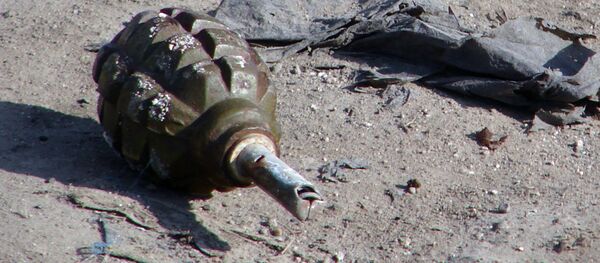 قنبلة يديوية - سبوتنيك عربي