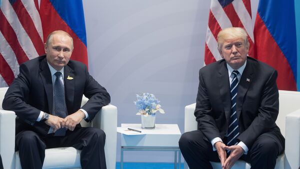 قمة مجموعة العشرين في هامبورغ، ألمانيا - الرئيس الروسي فلاديمير بوتين يلتقي بالرئيس الأمريكي دونالد ترامب، 7 يوليو/ تموز 2017 - سبوتنيك عربي