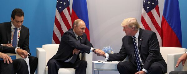 مباحثات الرئيسين بوتين وترامب في هامبورغ - سبوتنيك عربي