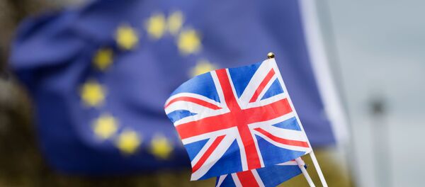المعارضون لخروج بريطانيا من الاتحاد الأوروبي - سبوتنيك عربي