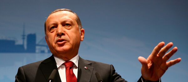 أردوغان في هامبورغ أردوغان في هامبورغ - سبوتنيك عربي