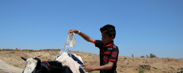 طفل سوري في القنيطرة - سبوتنيك عربي