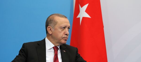 الرئيس التركي إردوغان - سبوتنيك عربي