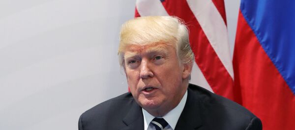 الرئيس الأمريكي دونالد ترامب - سبوتنيك عربي