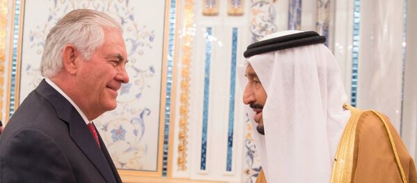 سلمان وتيلرسون - سبوتنيك عربي