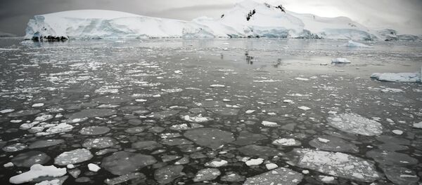 قطع جليدية تطفو على سطح مياه البحر في غرب شبه الجزيرة القطبية الجنوبية، 05 مارس/ آذار 2016 - سبوتنيك عربي