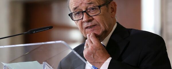 جان إيف لودريان - سبوتنيك عربي