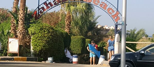 عملية الطعن في الغردقة - سبوتنيك عربي