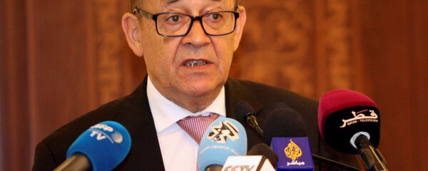 وزير الخارجية الفرنسي - سبوتنيك عربي