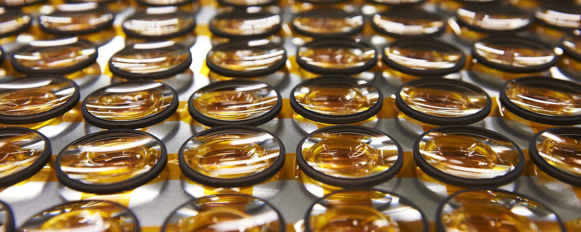 عدسات - سبوتنيك عربي, 1920, 24.05.2025