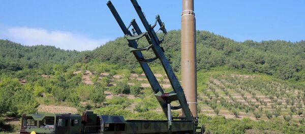 كوريا الشمالية - سبوتنيك عربي