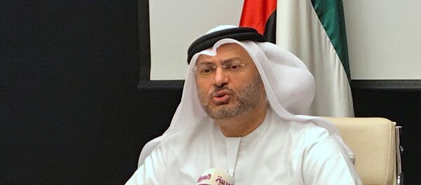 أنور قرقاش أنور قرقاش - سبوتنيك عربي