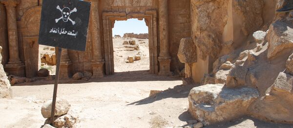 قلعة الرصافة قلعة الرصافة - سبوتنيك عربي