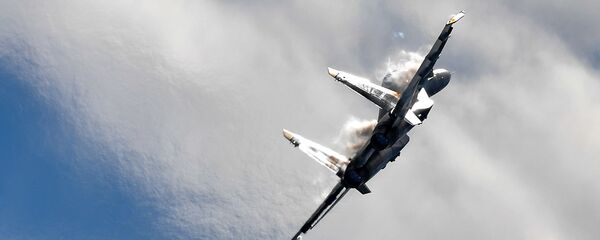 عرض المقاتلة الجديدة ميغ-35 متعدة المهام في معرض الطيران الدولي ماكس-2017 في مطار جوكوفسمي بضواحي موسكو، روسيا - سبوتنيك عربي