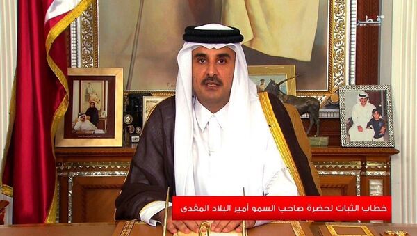 أمير قطر - سبوتنيك عربي