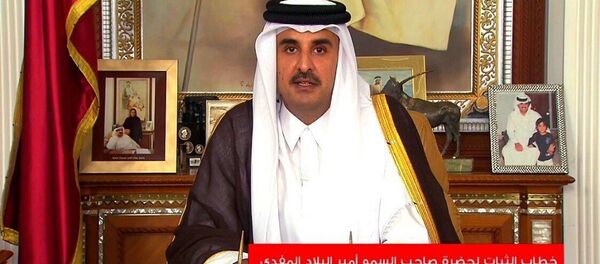 أمير قطر - سبوتنيك عربي