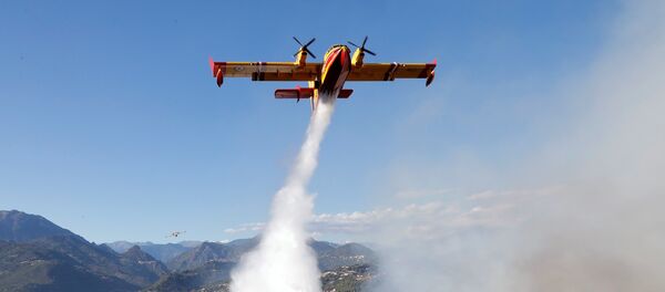 حرائق الغابات في جنوب فرنسا - سبوتنيك عربي