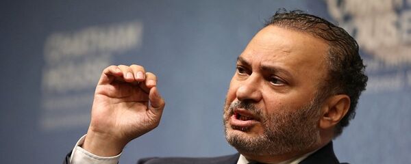 أنور قرقاش - سبوتنيك عربي