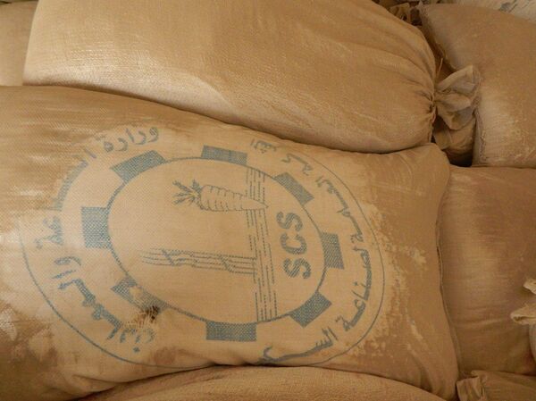 الموصل القديمة... الدواعش دمروا التاريخ ولجأوا لسراديب تحت الأرض - سبوتنيك عربي