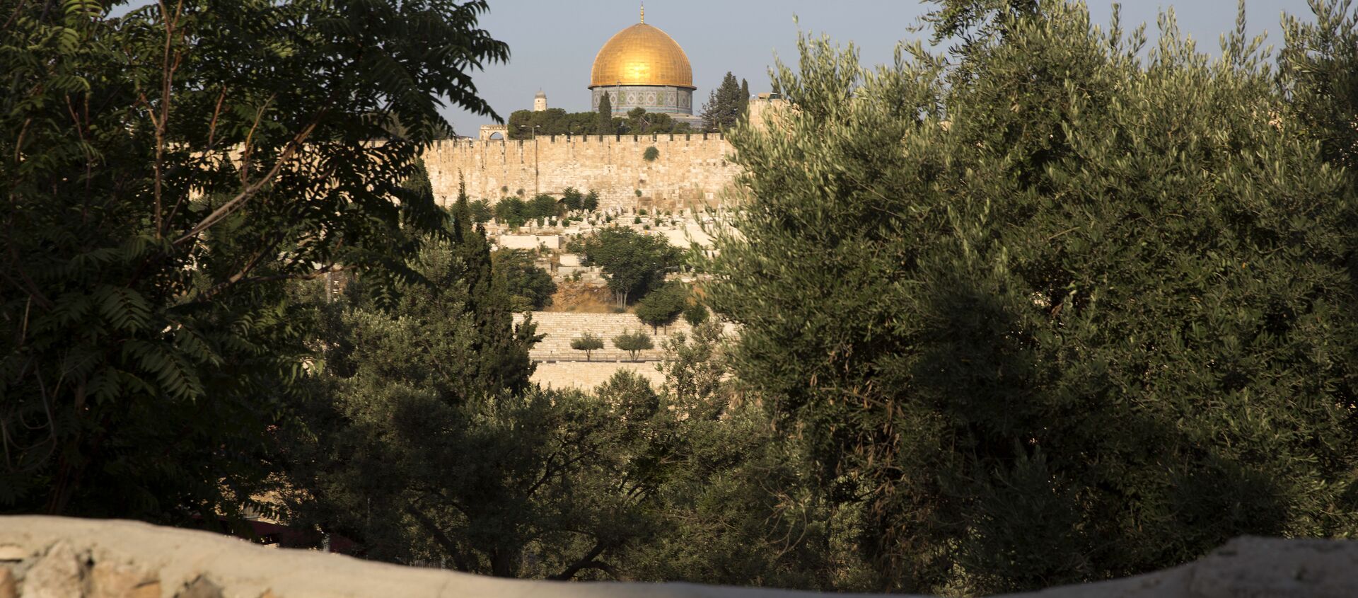 القدس - سبوتنيك عربي, 1920, 19.08.2017