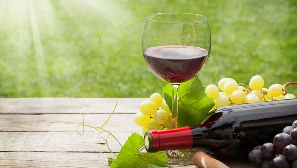 كأس من النبيذ الأحمر في يوم مشمس - سبوتنيك عربي