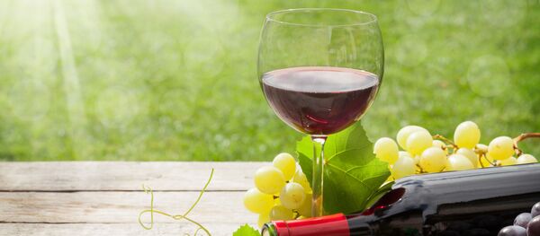 كأس من النبيذ الأحمر في يوم مشمس - سبوتنيك عربي