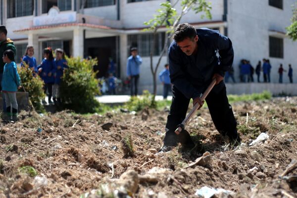 الأمم المتحدة تزرع المدارس السورية بالخضار - سبوتنيك عربي