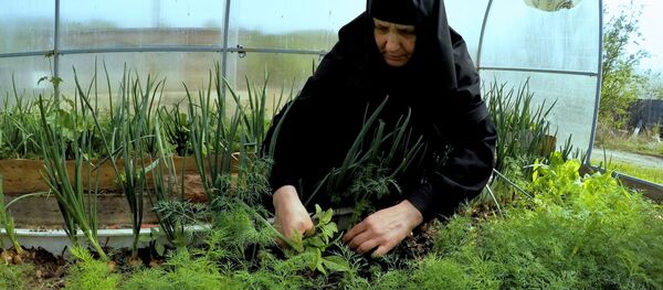 راهبة في دير راهبة في دير - سبوتنيك عربي
