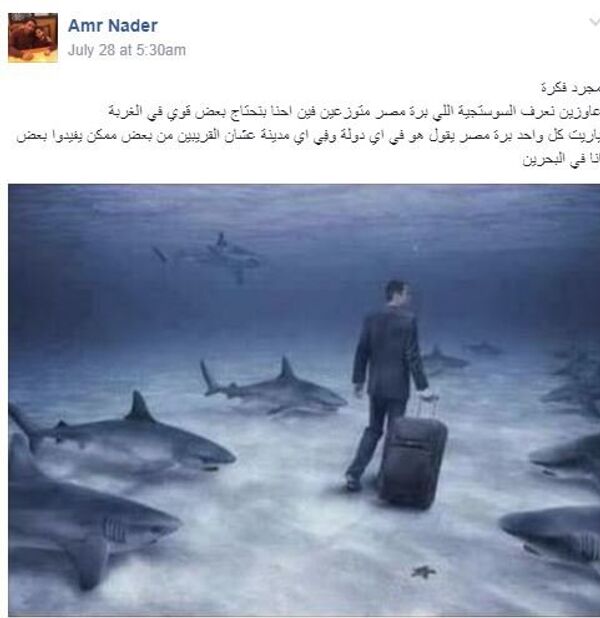 جروب جت في السوستة - سبوتنيك عربي