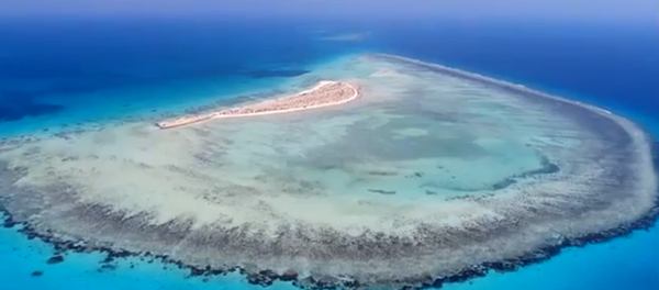 مشروع البحر الأحمر - سبوتنيك عربي