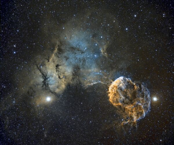 القائمة القصيرة لمسابقة التصوير الفلكي الدولية أستروفوتوغروفي لعام 2017 (Insight Astronomy Photographer of the Year) - صورة بعنوان سديم قنديل البحر (Sh2-249 Jellyfish Nebula)  للمصور كريس هيبي - سبوتنيك عربي