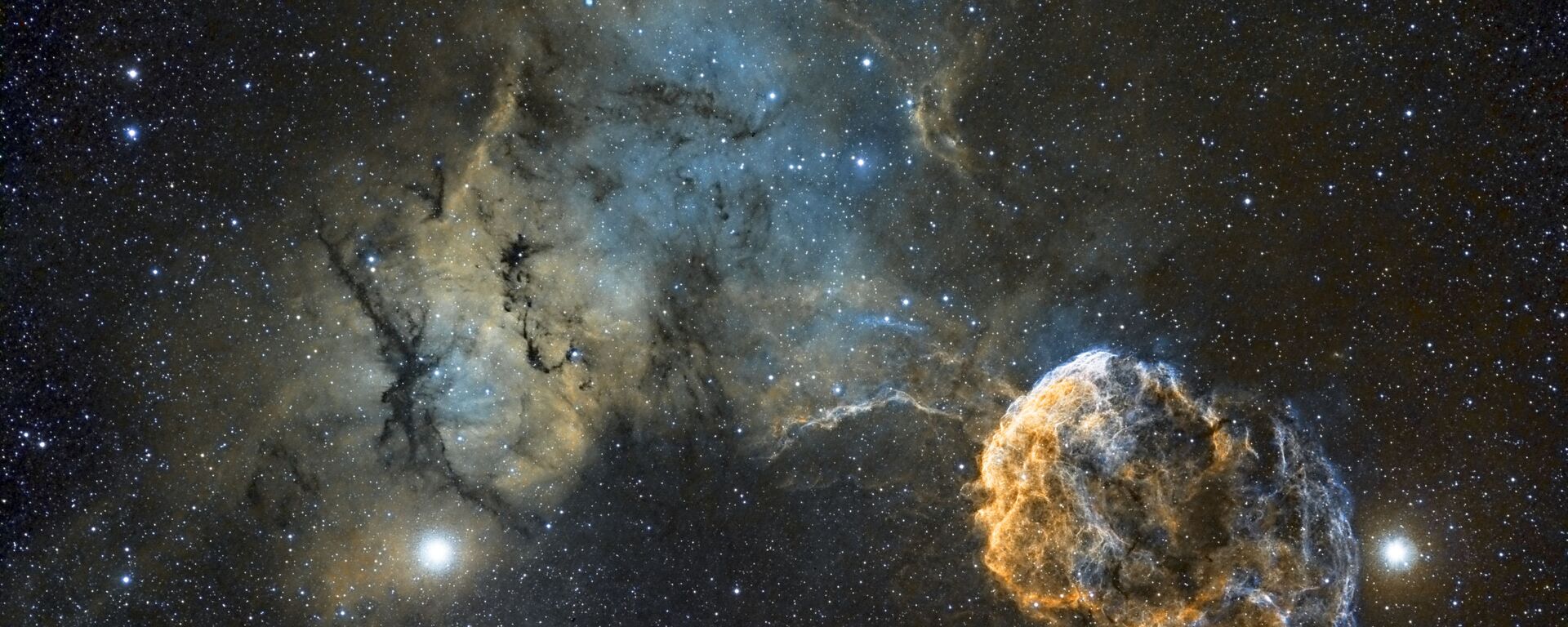 القائمة القصيرة لمسابقة التصوير الفلكي الدولية أستروفوتوغروفي لعام 2017 (Insight Astronomy Photographer of the Year) - صورة بعنوان سديم قنديل البحر (Sh2-249 Jellyfish Nebula)  للمصور كريس هيبي - سبوتنيك عربي, 1920, 04.07.2018