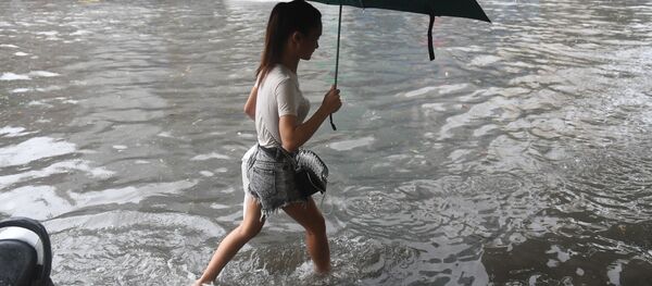 المشاة بعد الإعصار في فيتنام - سبوتنيك عربي