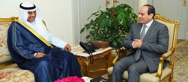 السيسي ووزير الخارجية الكويتي - سبوتنيك عربي
