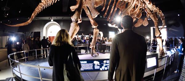 ديناصور - سبوتنيك عربي