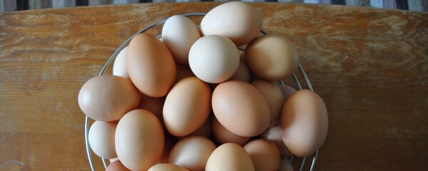 بيض - سبوتنيك عربي