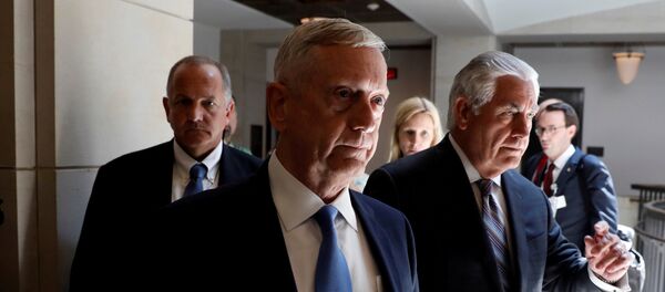 ماتيس وتيلرسون - سبوتنيك عربي