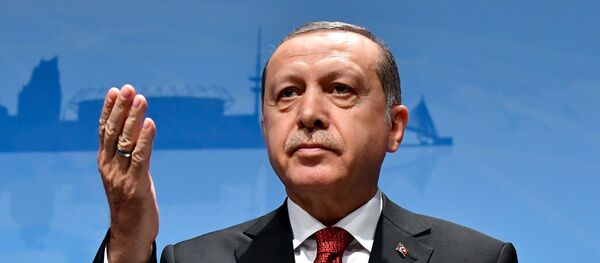 الرئيس التركي أردوغان - سبوتنيك عربي