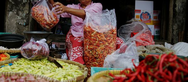 خضروات - سبوتنيك عربي