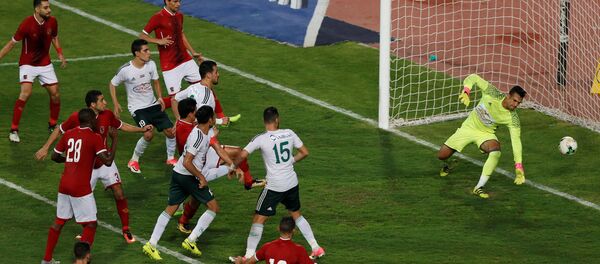 الأهلي والمصري في نهائي كأس مصر - سبوتنيك عربي