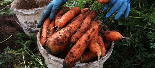 جزر - سبوتنيك عربي