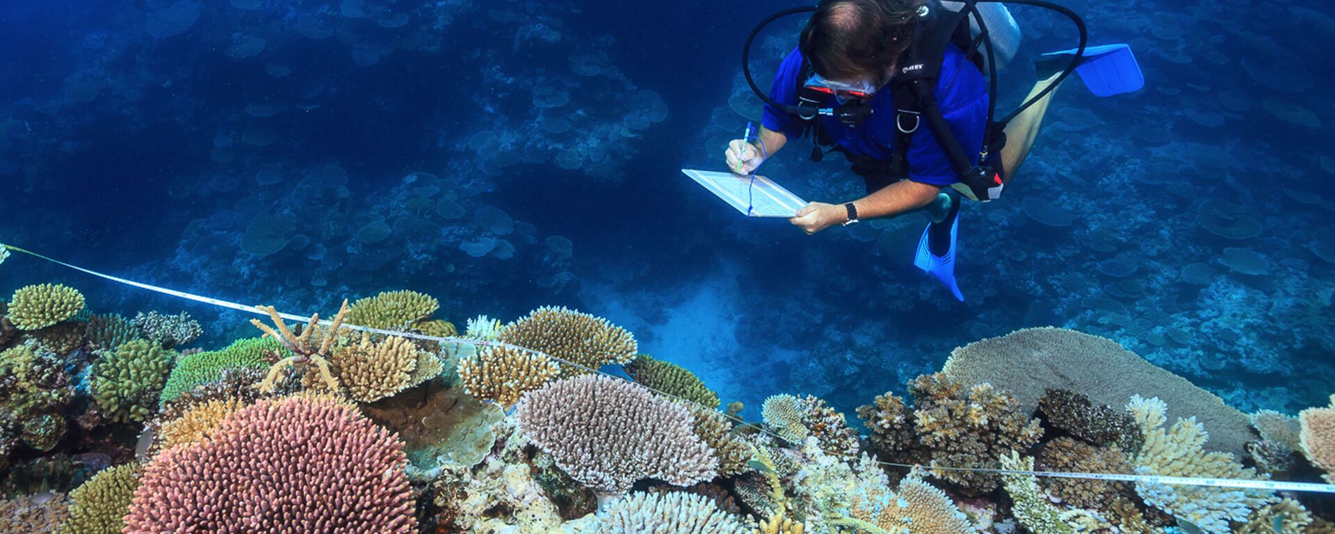 عالم يدرس الشعاب المرجانية في أستراليا - سبوتنيك عربي, 1920, 22.09.2024